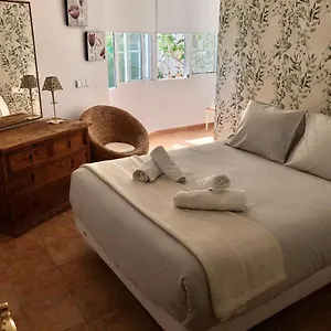 Nuevabanús Auto Check-in Marbella